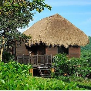 Deluxe Bungalow